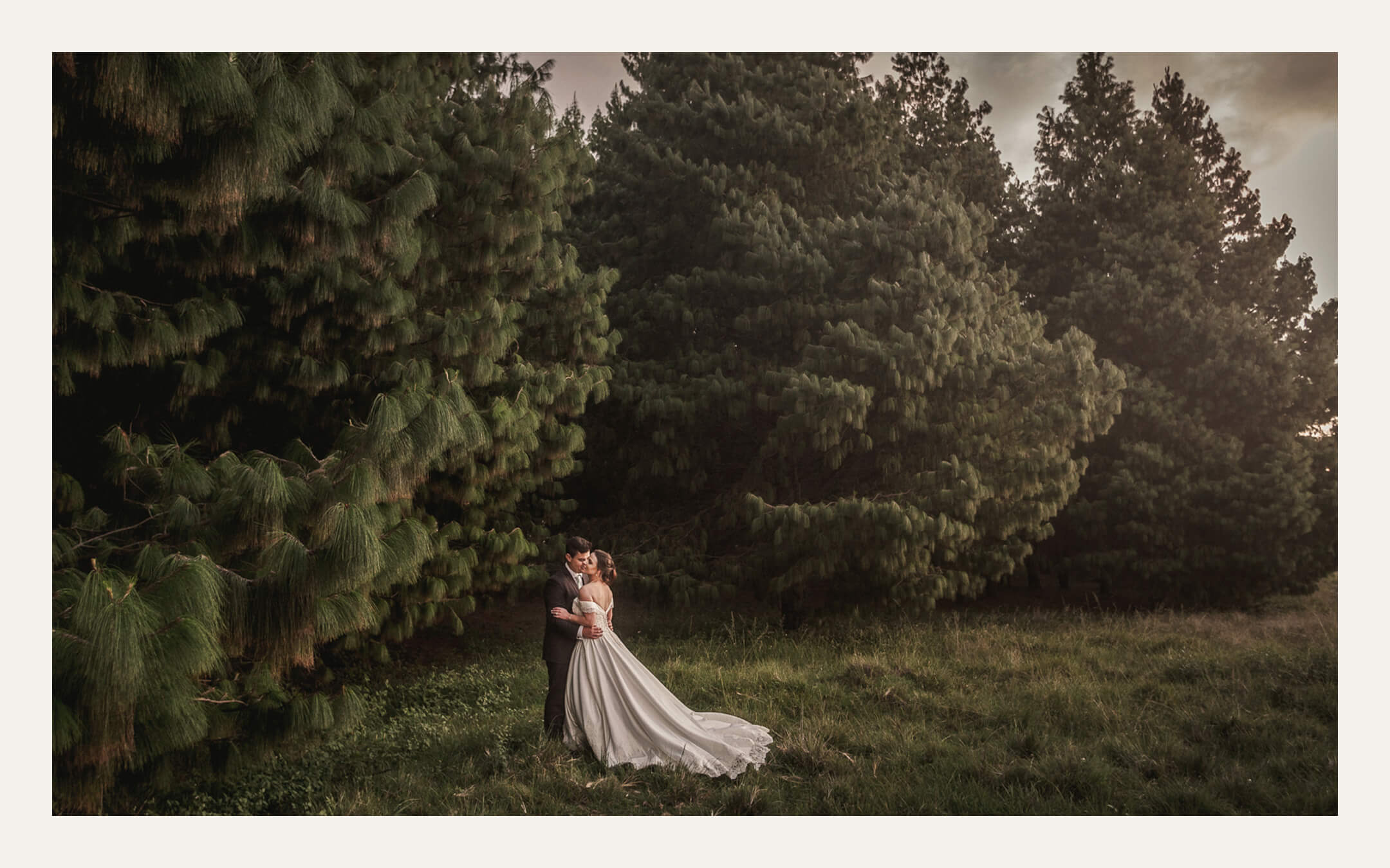 Couple embracing in tall grass at the edge of a pine plantation. Ben Viljoen Photography