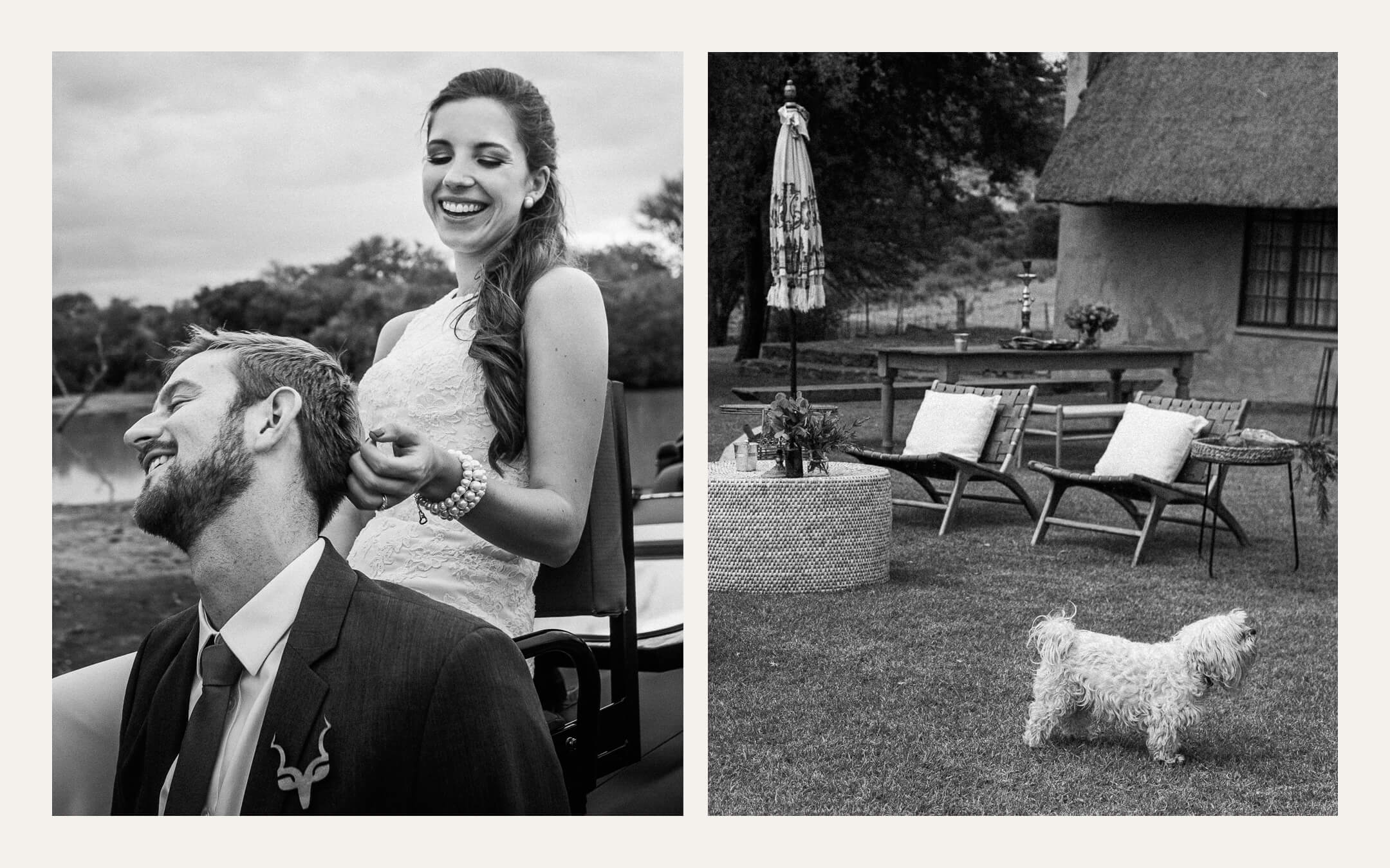 Bride laughing over the groom at a bush lodge, and a small dog on the lawn. Ben Viljoen Photography