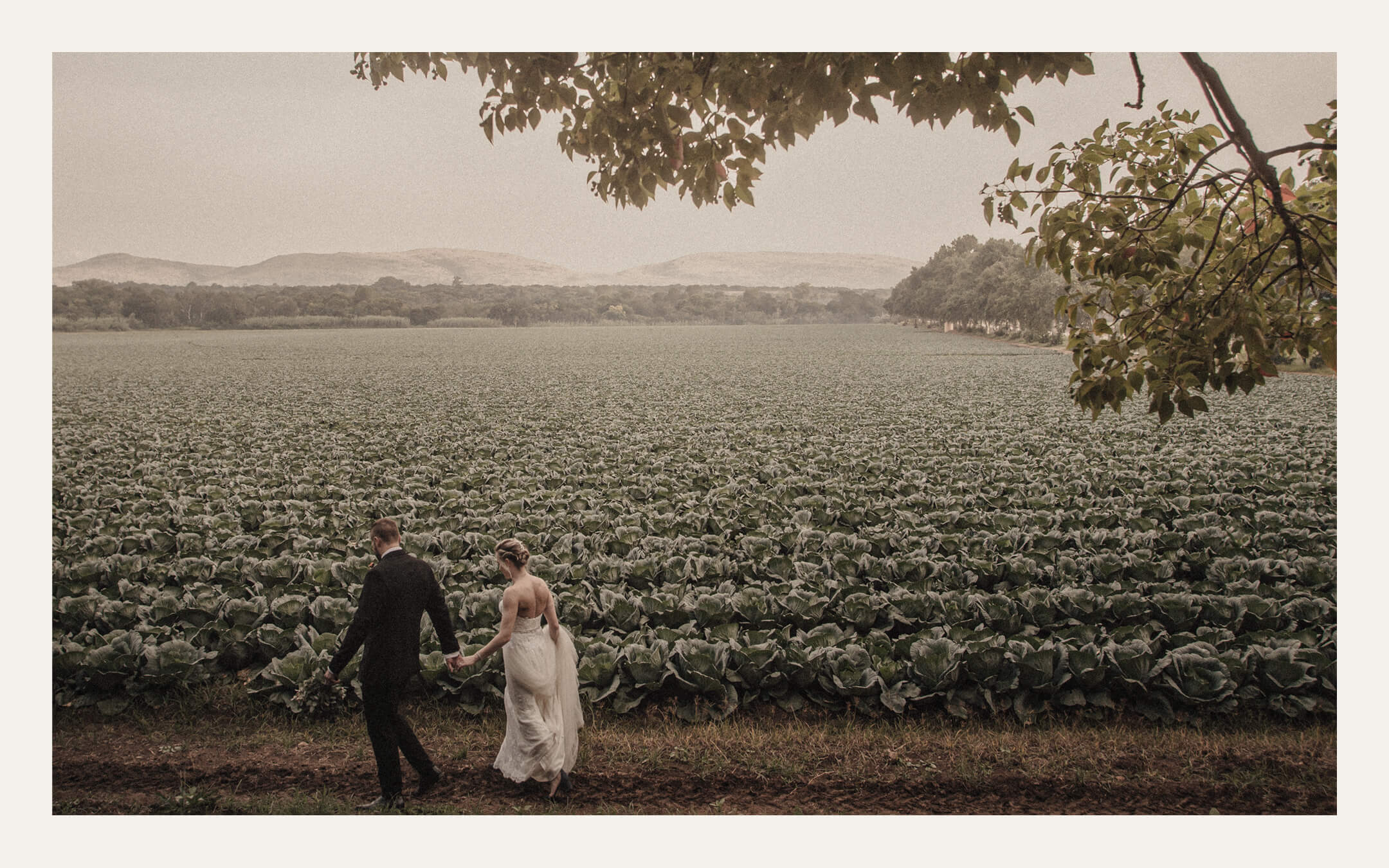 Couple walking through a cabbage field — Ben Viljoen Photography